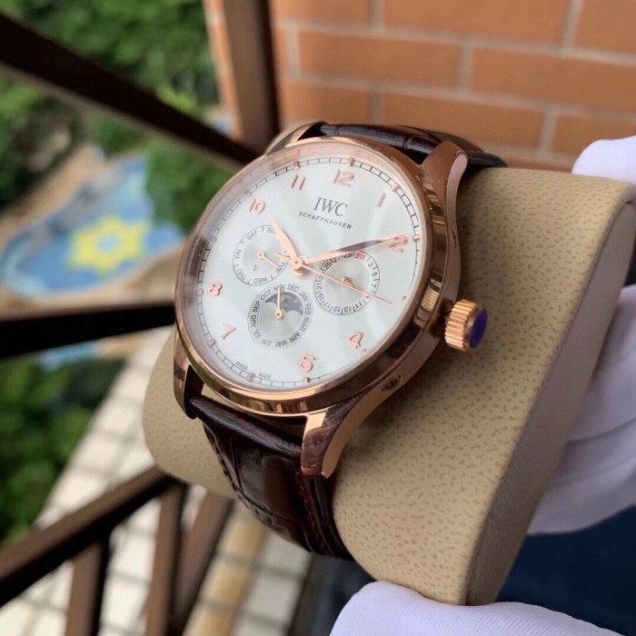 Watches IWS 323055 size:43 mm