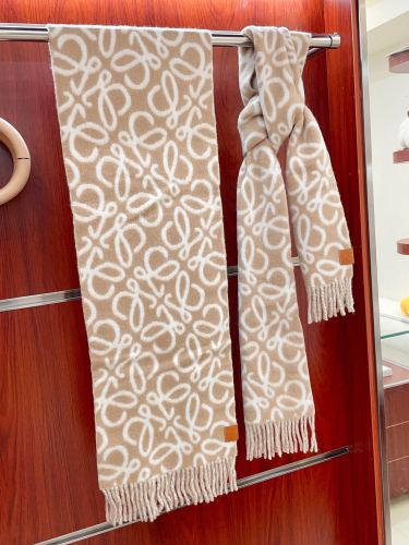 Streetwear Scarf Loewe 323775