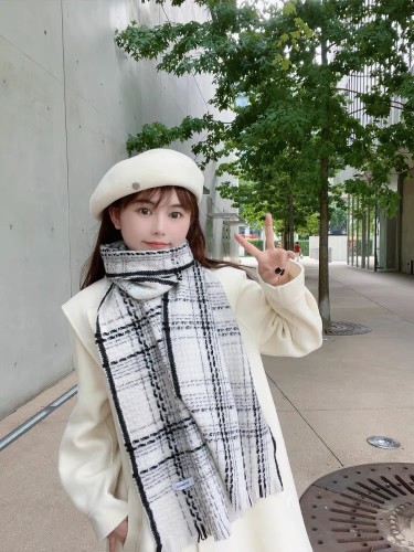 Streetwear Scarf CELINE 326443 size：200*65cm