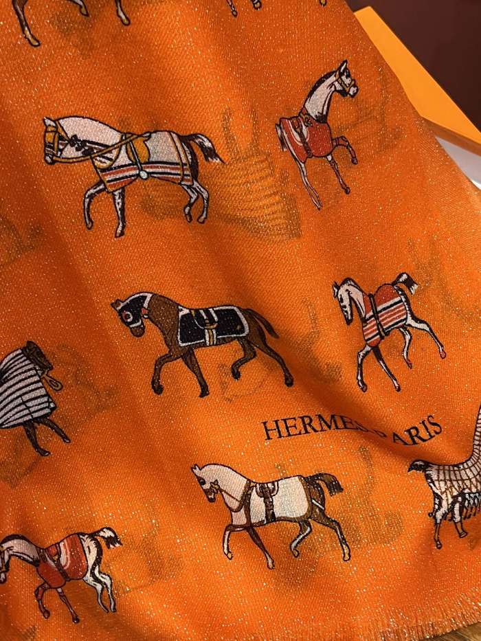 Streetwear Scarf Hermes  326414 SIZE:110x200cm
