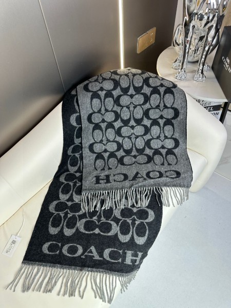 Streetwear Scarf COACH 326331 size:195×53cm