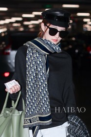 Streetwear Scarf Dior 326040 SIZE:65*185cm