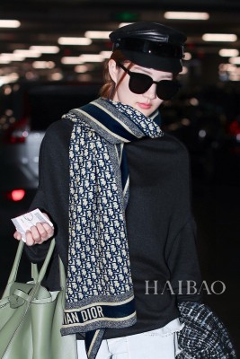 Streetwear Scarf Dior 326040 SIZE:65*185cm