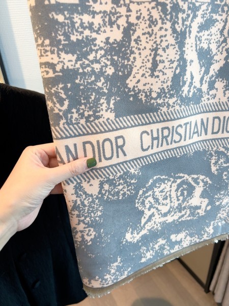 Streetwear Scarf Dior 325855 SIZE 65*190cm