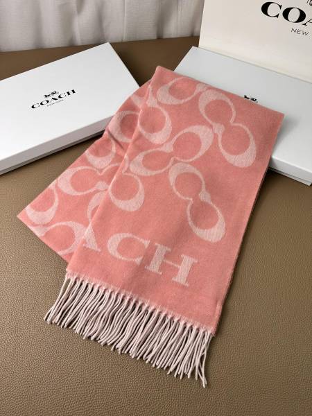 Streetwear Scarf COACH 325642 size:195×53cm