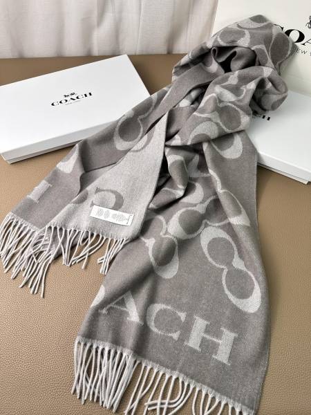 Streetwear Scarf COACH 325640 size:195×53cm