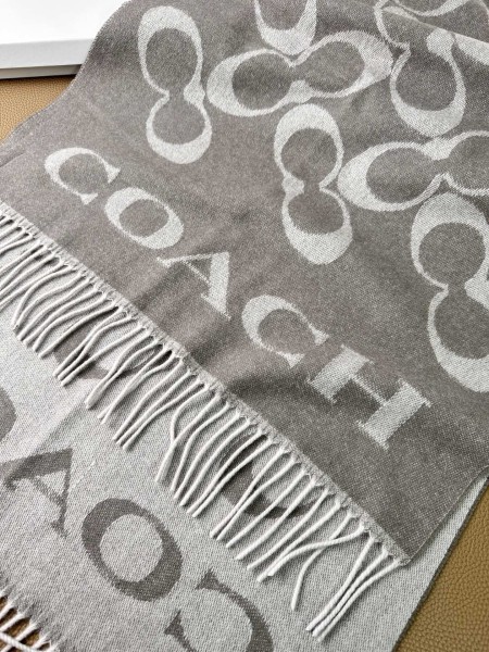 Streetwear Scarf COACH 325640 size:195×53cm