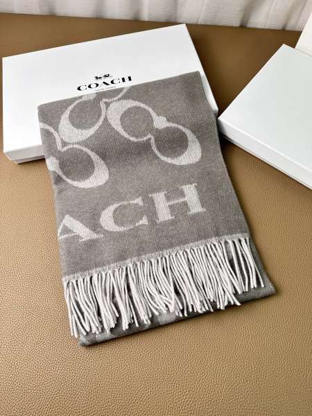 Streetwear Scarf COACH 325640 size:195×53cm