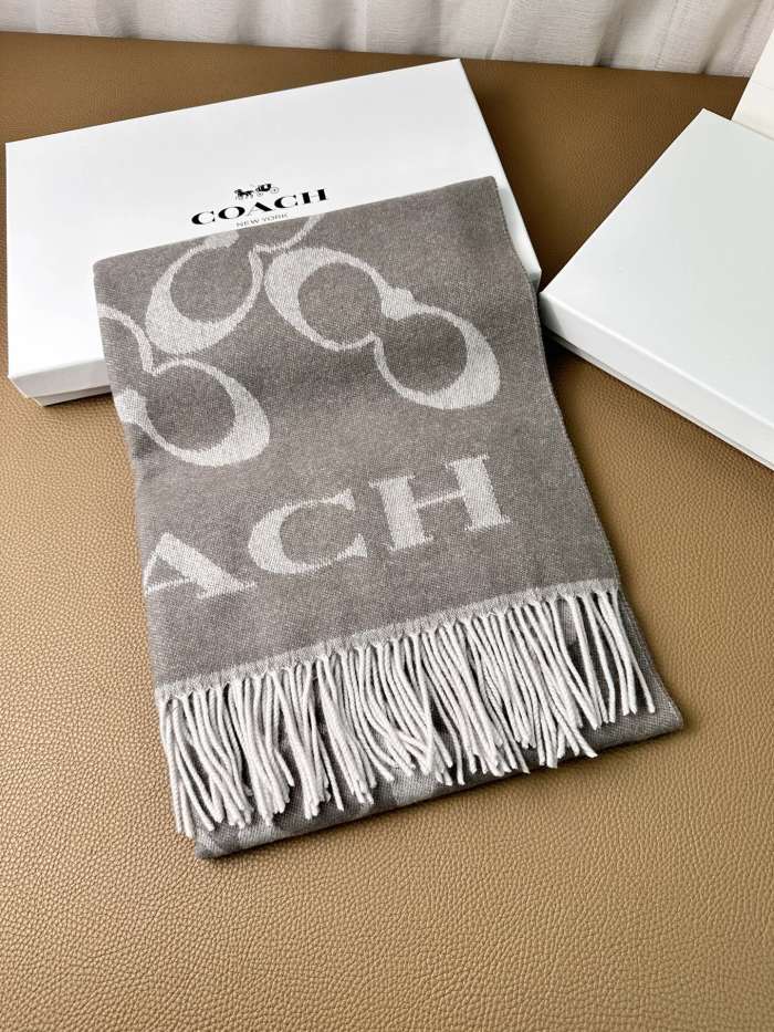 Streetwear Scarf COACH 325640 size:195×53cm