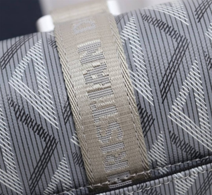 Handbags Dior 2ESCA458CDP_H36B（477737）