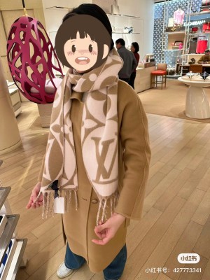 Streetwear Scarf LV  329766 SIZE:209x30cm