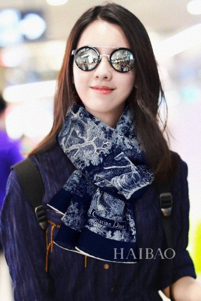 Streetwear Scarf Dior 329680 SIZE:60*200cm