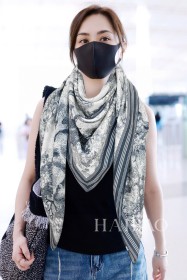 Streetwear Scarf Dior 329711 SIZE:65*185cm