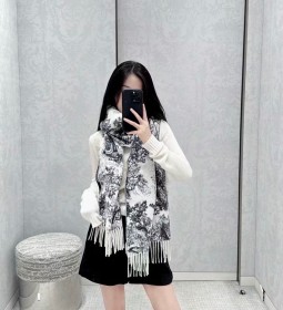 Streetwear Scarf Dior 329657