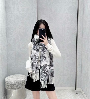 Streetwear Scarf Dior 329657