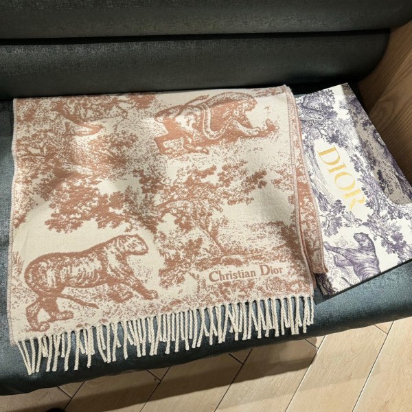 Streetwear Scarf Dior 329655