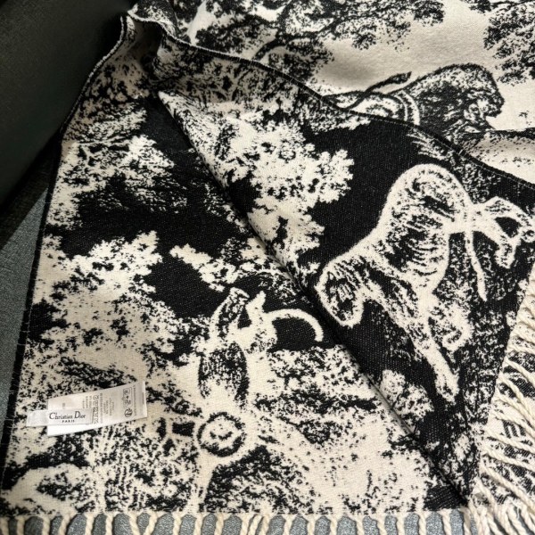 Streetwear Scarf Dior 329657