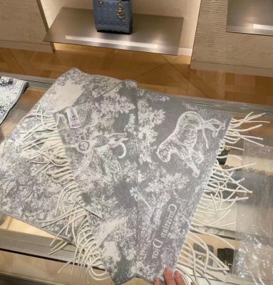 Streetwear Scarf Dior 329656