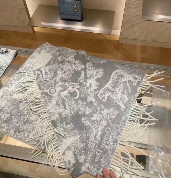 Streetwear Scarf Dior 329656