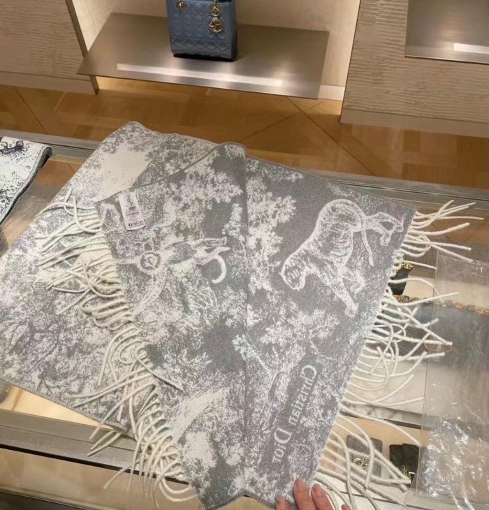 Streetwear Scarf Dior 329656