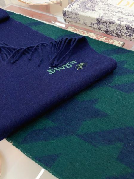 Streetwear Scarf Dior 329600 SIZE:35*180cm