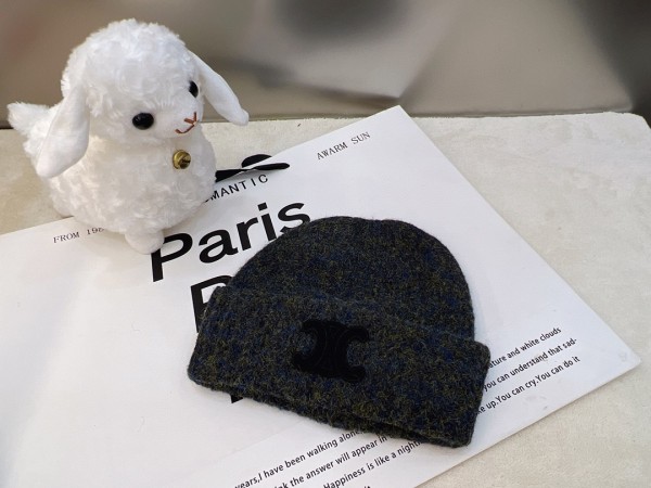Streetwear Hat Celine 329138