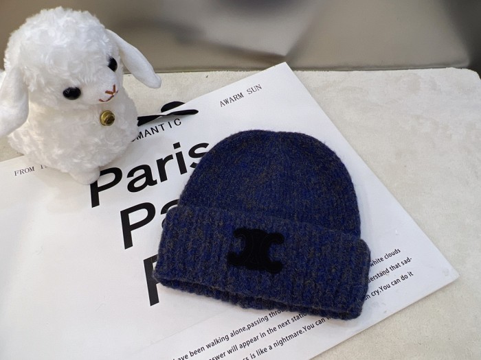 Streetwear Hat Celine 329138