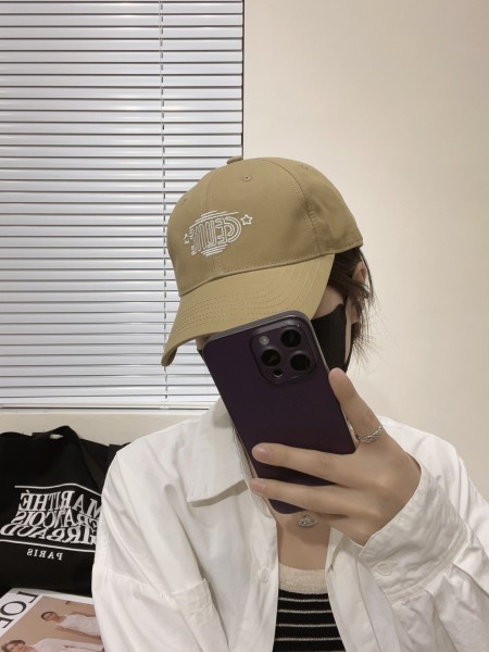 Streetwear Scarf Celine 329056 SIZE:90cm*90cm