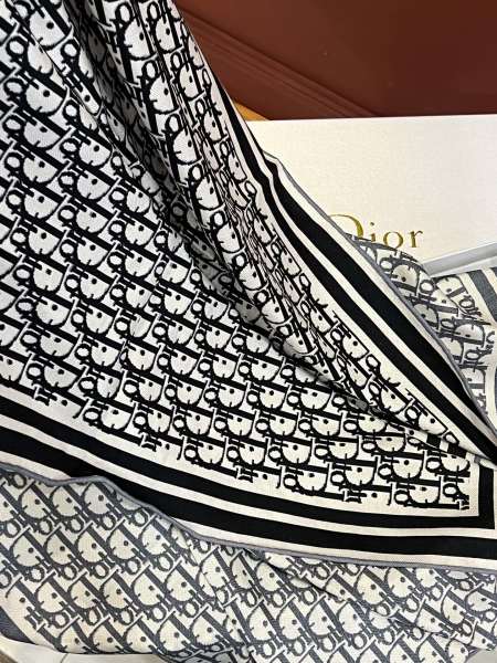 Streetwear Scarf Dior 328966 size:65x180cm