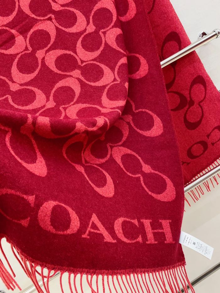 Streetwear Scarf COACH 328769 SIZE:195×53cm