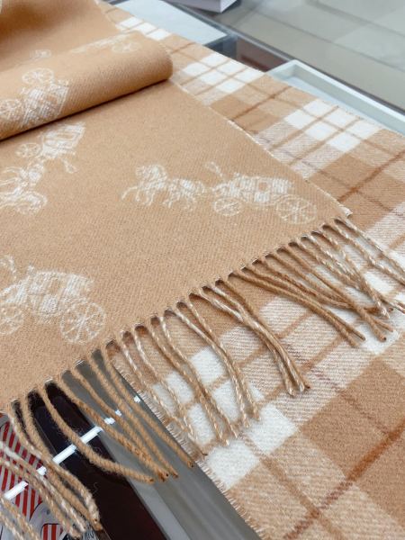 Streetwear Scarf COACH 328785 SIZE:190×30cm