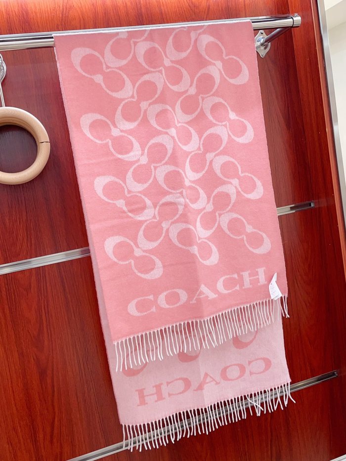 Streetwear Scarf COACH 328772 SIZE:195×53cm
