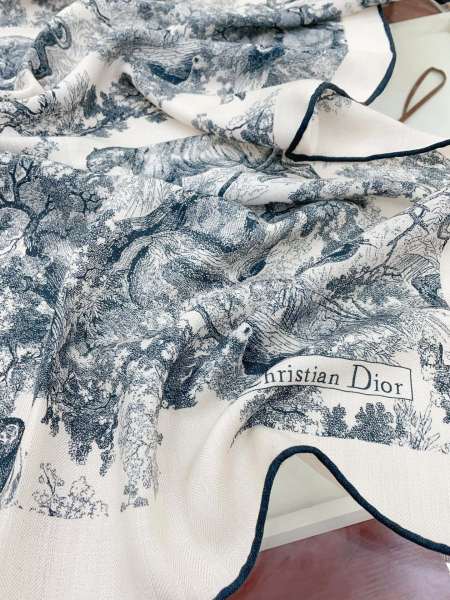 Streetwear Scarf Dior 328748 SIZE:60*180cm
