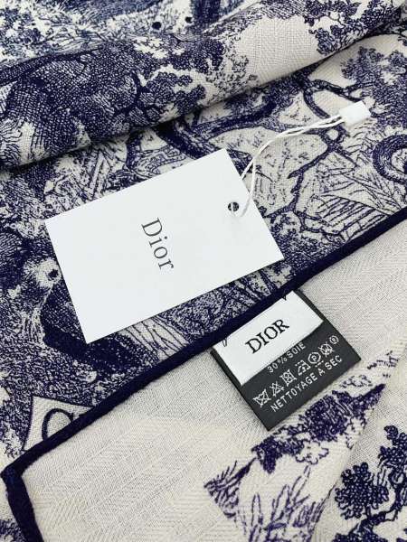 Streetwear Scarf Dior 328750 size：60*180cm