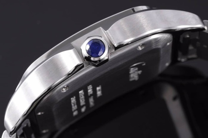 Watches Cartier santos de WSSA0009