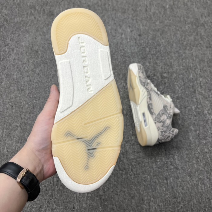 Jordan 5 Retro Low Expression (W)