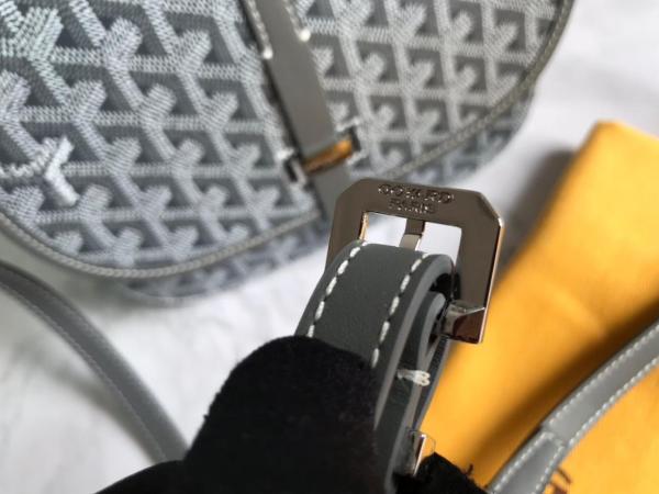 Handbags Goyard BELVE2PMLTY size 22*7*16 cm