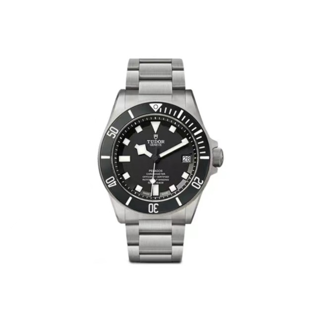 Watches TUDOR M25600TN-0001 size:42 mm