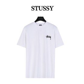  Clothes Stussy 20240811-3