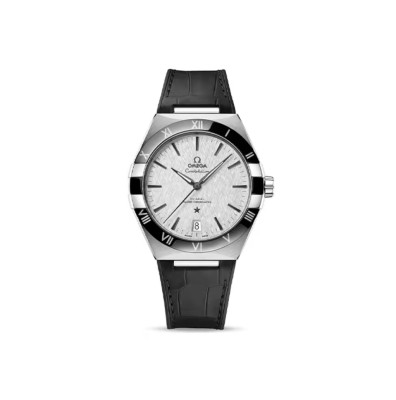 Watches OMEGA 131.33.41.21.06.001 size:41 mm