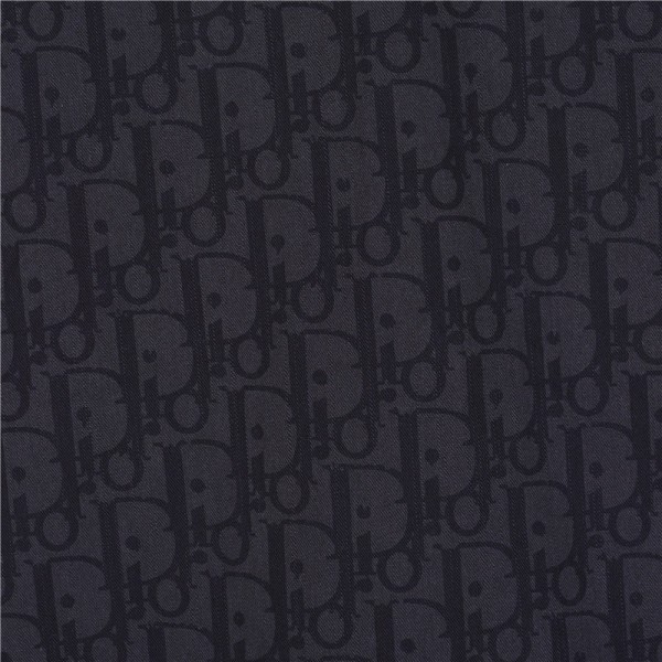 Clothes Dior 20241117-3