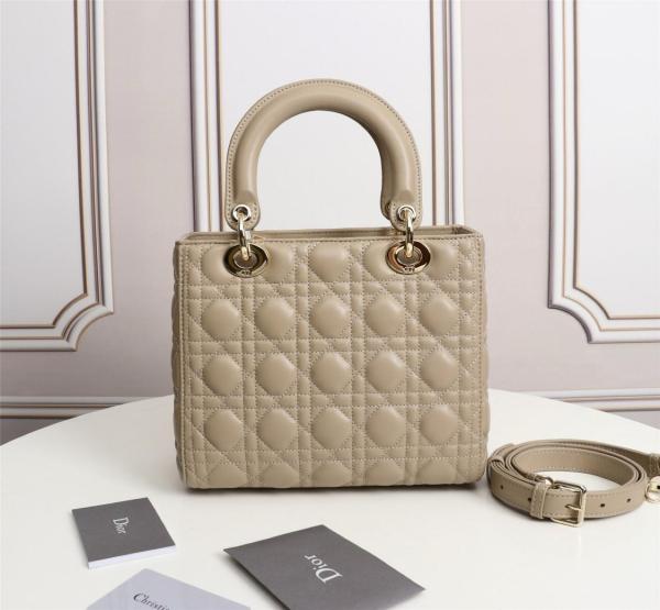 DIOR Lady DIOR Handbags M0505OCAL-M116 Mini size 17*7*15 cm