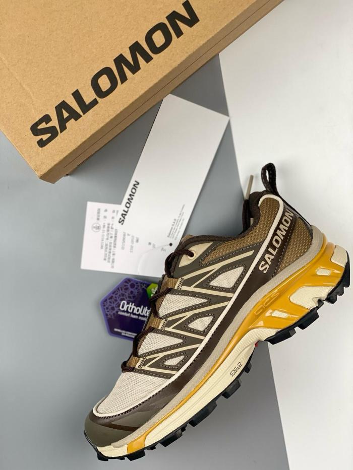 Salomon XT-6 Expanse Feather Gray Golden Oak