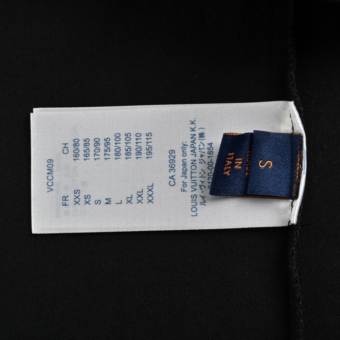 Clothes Louis Vuitton 20250325-2