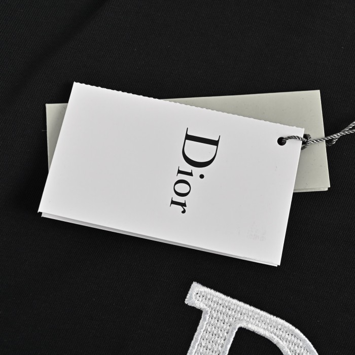 Clothes Dior 20250325-2