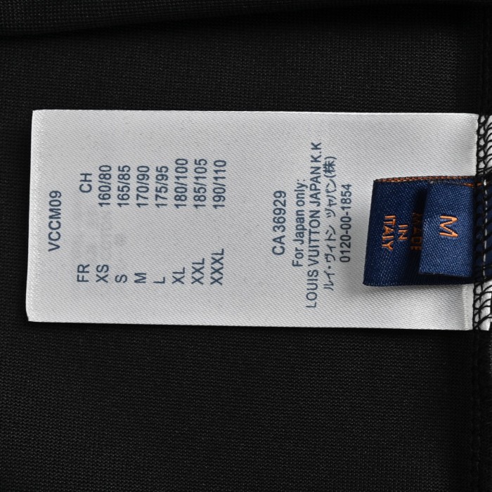 Clothes Louis Vuitton 20250329-2