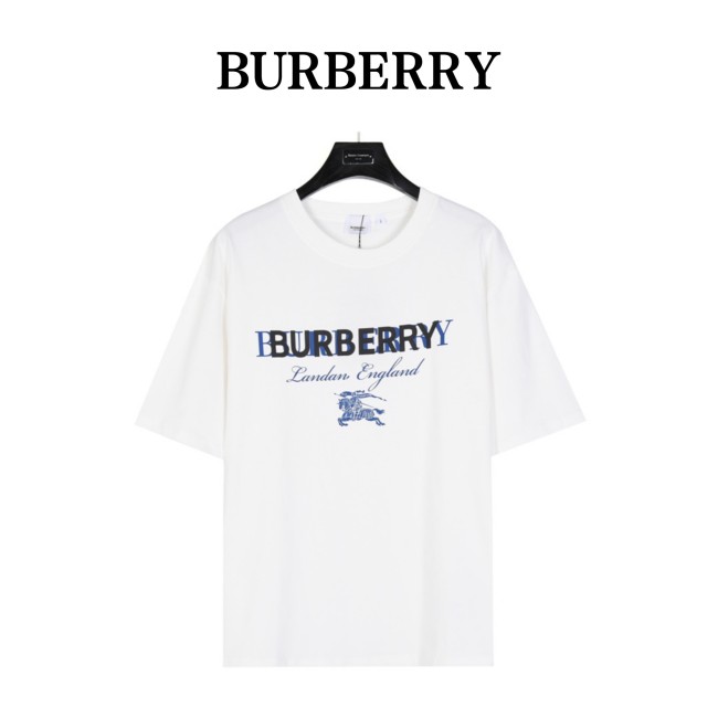  Clothes Burberry 20250329-5