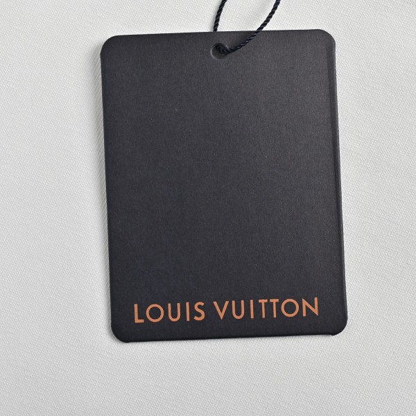 Clothes Louis Vuitton 20250329-1