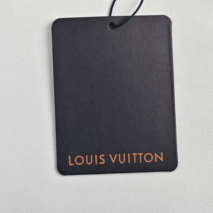 Clothes Louis Vuitton 20250329-1