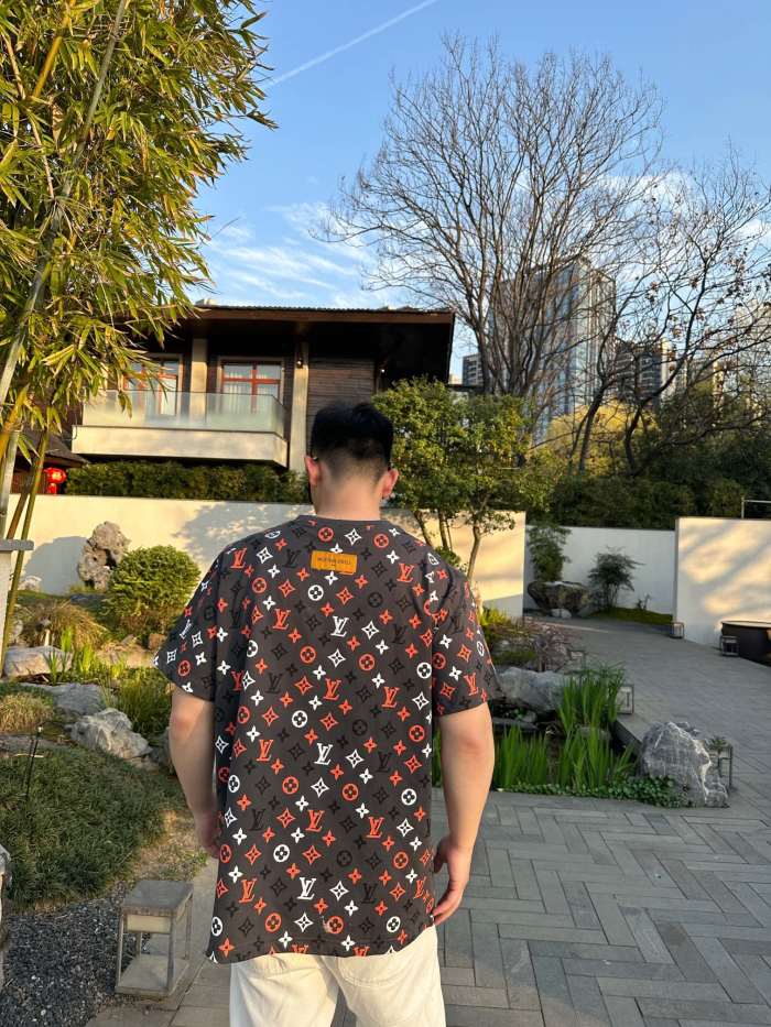 Clothes Louis Vuitton 20250401-2